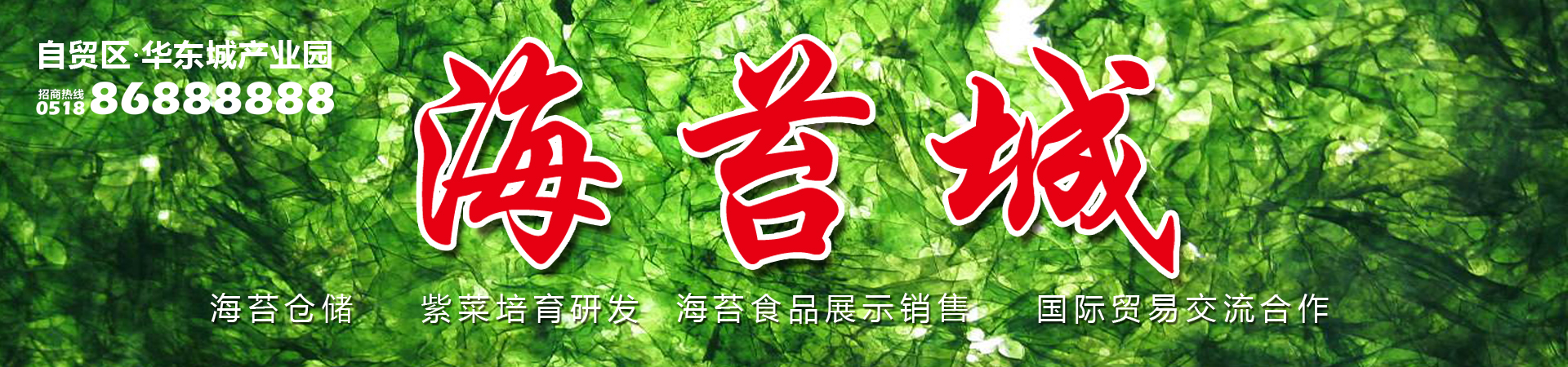 华东城·海苔城